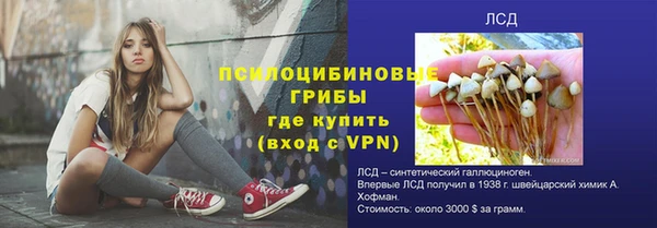 дмт Майский