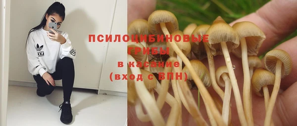 apvp Магас