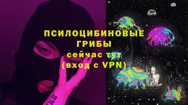 ПСИЛОЦИБИНОВЫЕ ГРИБЫ Магадан