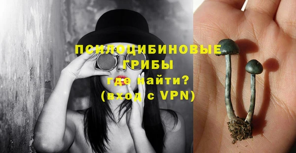 ПСИЛОЦИБИНОВЫЕ ГРИБЫ Магадан