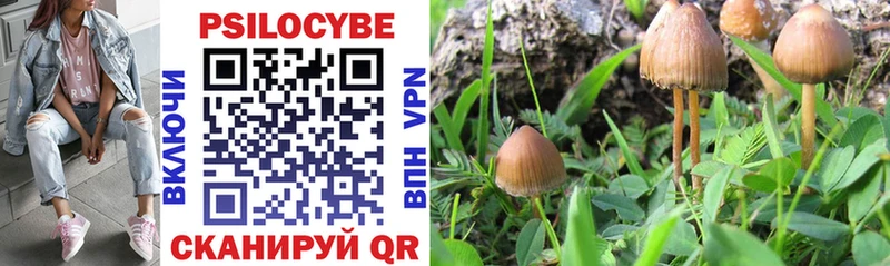 Купить где  Миньяр  Псилоцибиновые грибы прущие грибы 